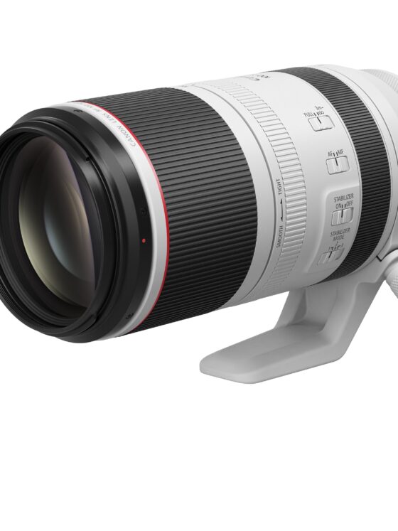Canon RF 100-500mm F4.5-7.1L IS USM