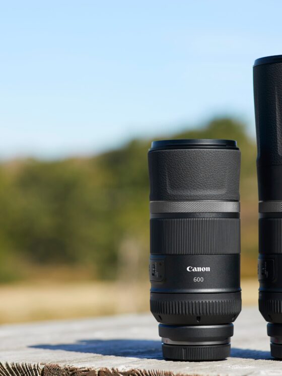 Canon RF 600mm IS STM und RF 800mm IS STM
