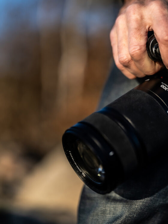 Lumix S 70-300mm f/4.5-5.6 Macro O.I.S.