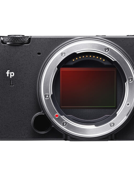 Sigma fp L