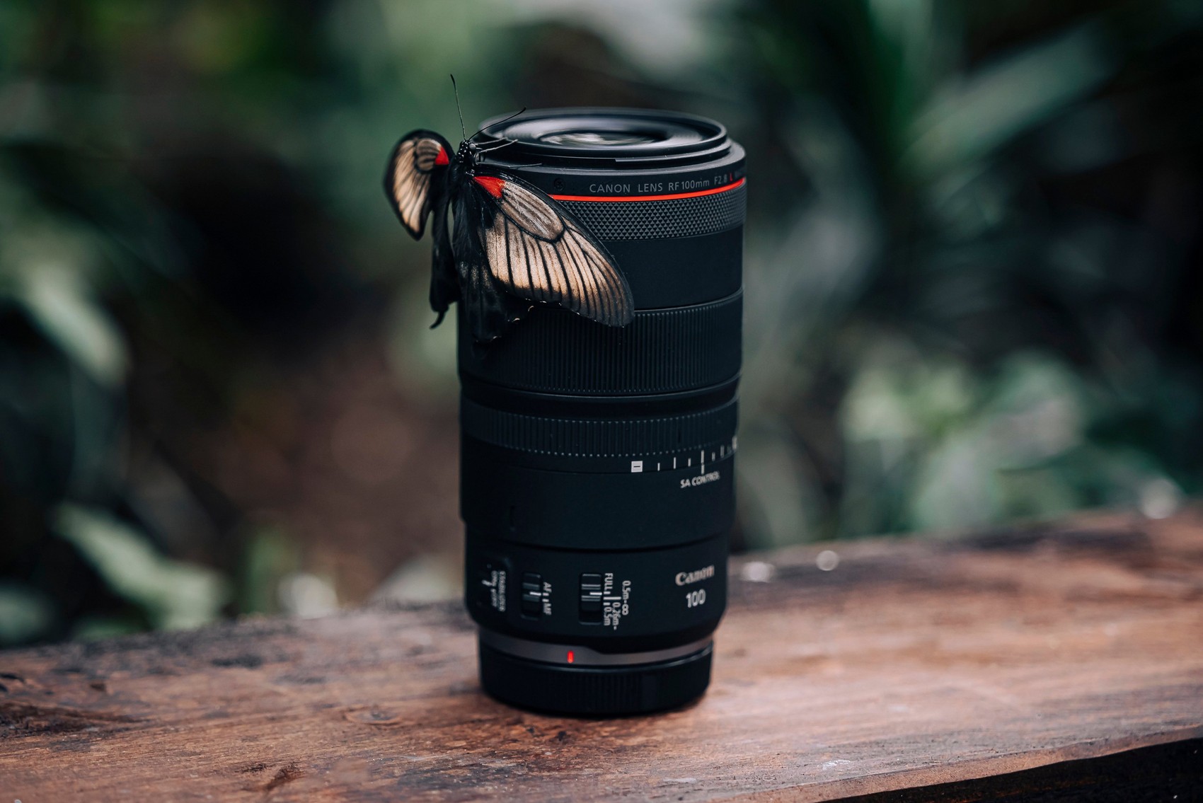 Canon RF 100mm f/2.8 L Macro IS USM: 1,4x-Vergrößerung und variables ...