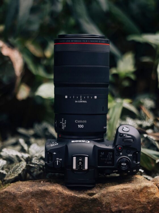 Canon RF 100mm f/2.8 L Macro IS USM