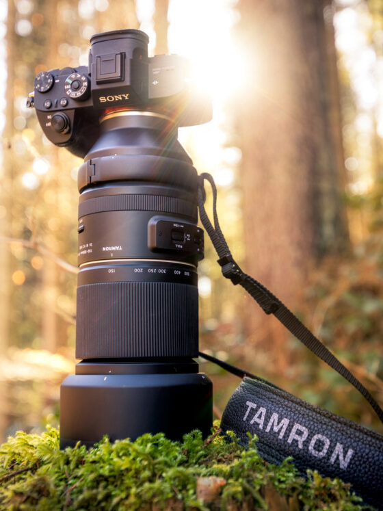 Tamron 150-500mm f/5-6.7 Di III VC VXD
