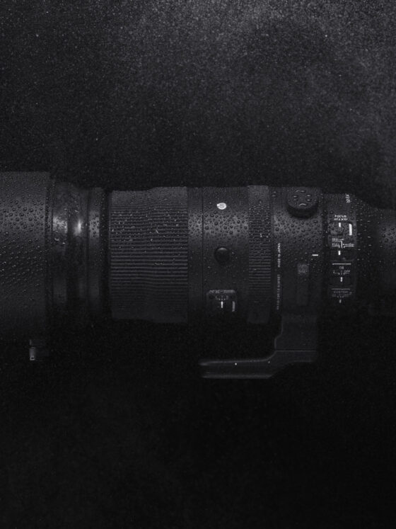 Sigma 150-600mm f/5-6.3 DG DN OS Sports an einer Sigma fp DSLM