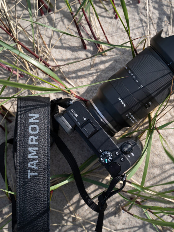 Das Tamron 18-300mm F3.5-6.3 Di III-A VC VXD an einer Sony Alpha 6600